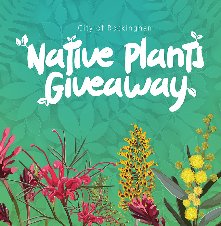Native Plants Giveaway City of Rockingham